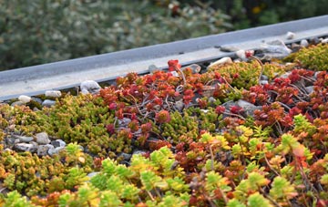 the cost of Duckington green roof installation