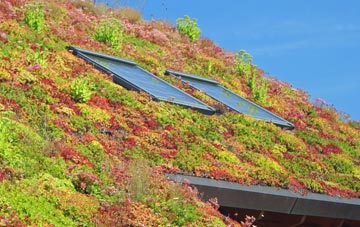 Duckington living roof systems